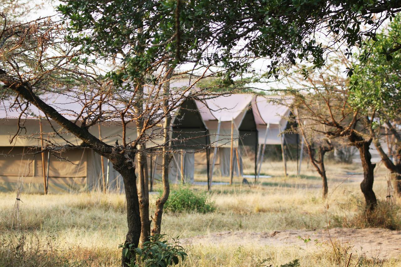 Olengoti Eco Safari Camp Hotel Talek Exterior photo